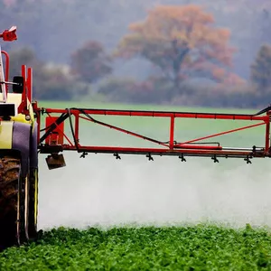 Корневая категория Корневая категория